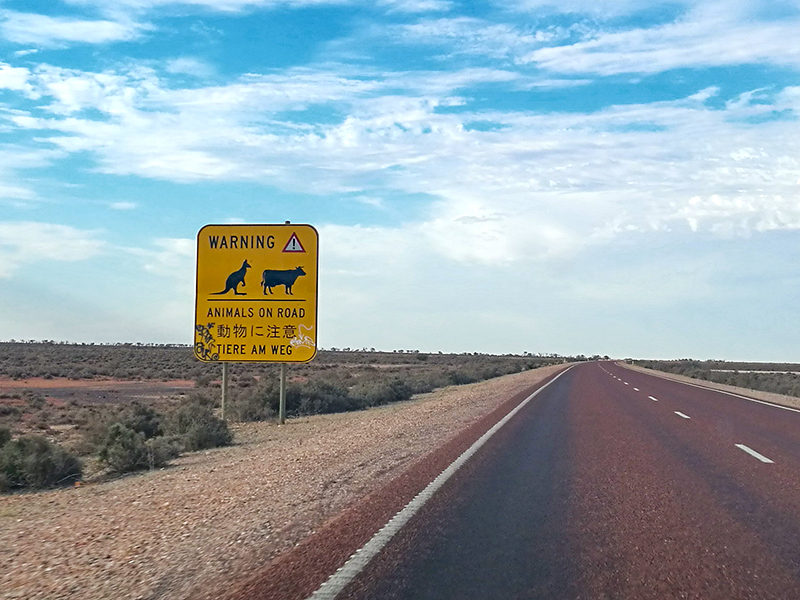 オーストラリア縦断旅で見つけた素敵 面白い看板 標識まとめ サオタビ
