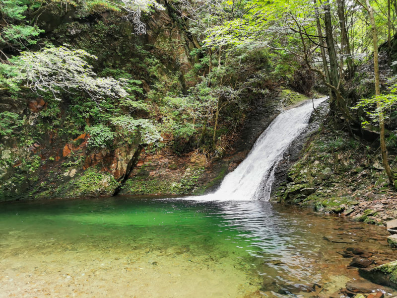 曽爾村　済浄坊の滝
