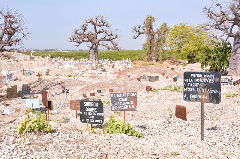 セネガル　ファディユ島　墓地