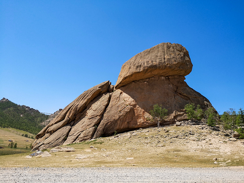 モンゴル旅行　亀石　テレルジ国立公園