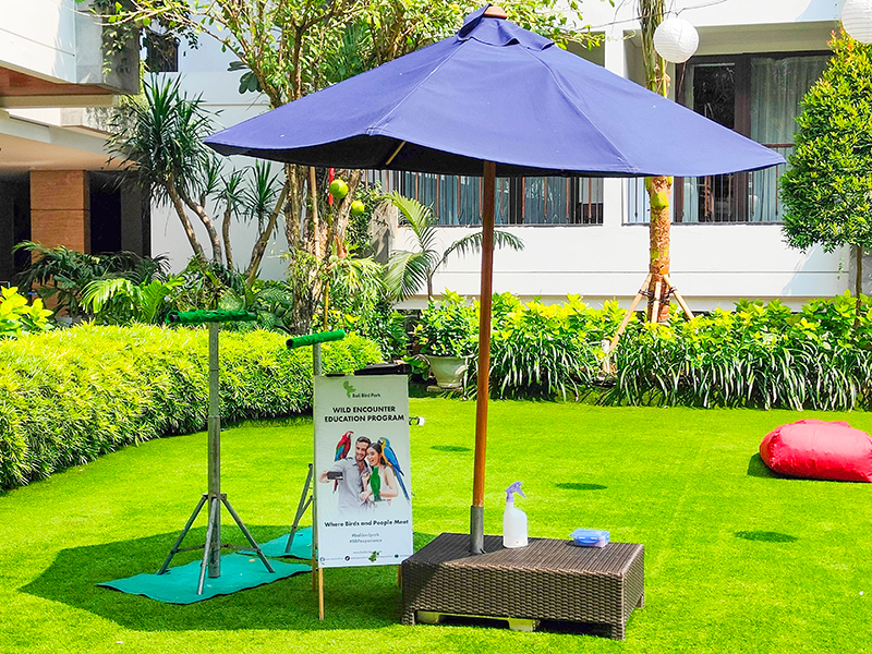 バリ　旅行　赤ちゃん連れ