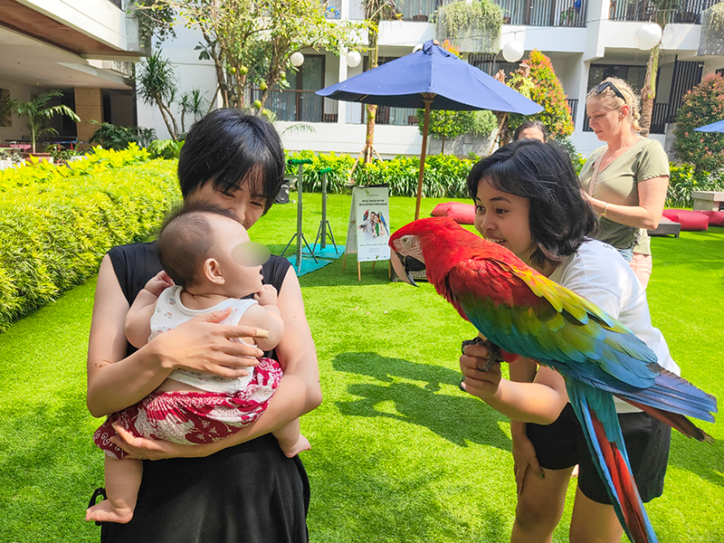 バリ　旅行　赤ちゃん連れ