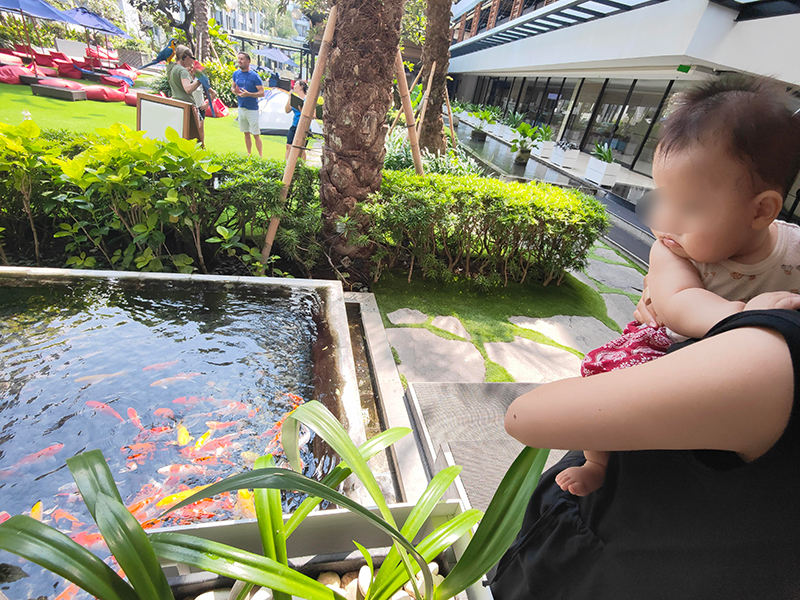 バリ　旅行　赤ちゃん連れ