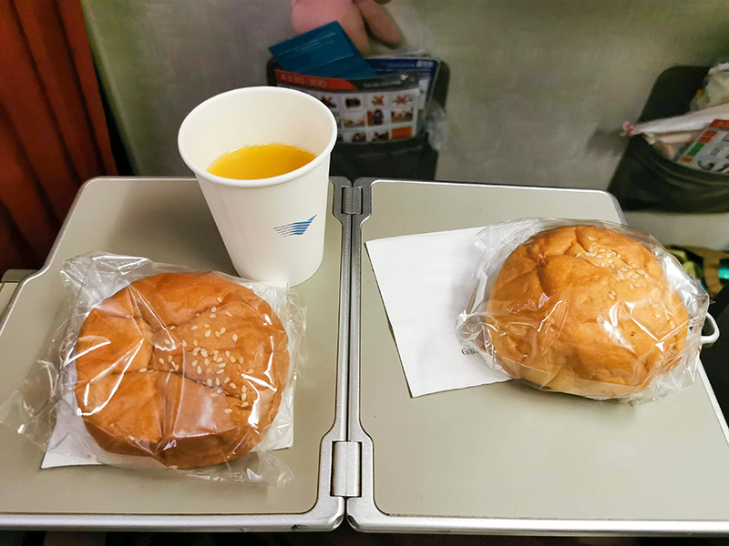 東ティモール・バリ　旅行　赤ちゃん連れ