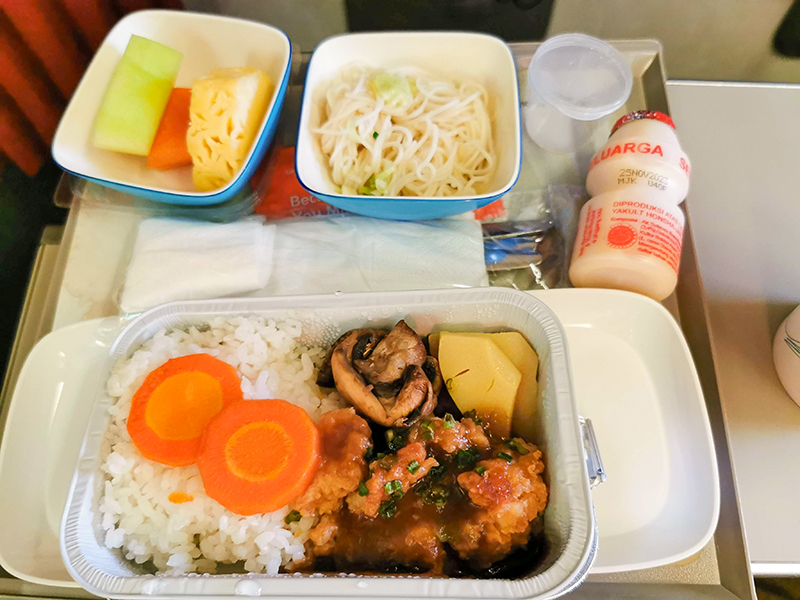 東ティモール・バリ　旅行　赤ちゃん連れ