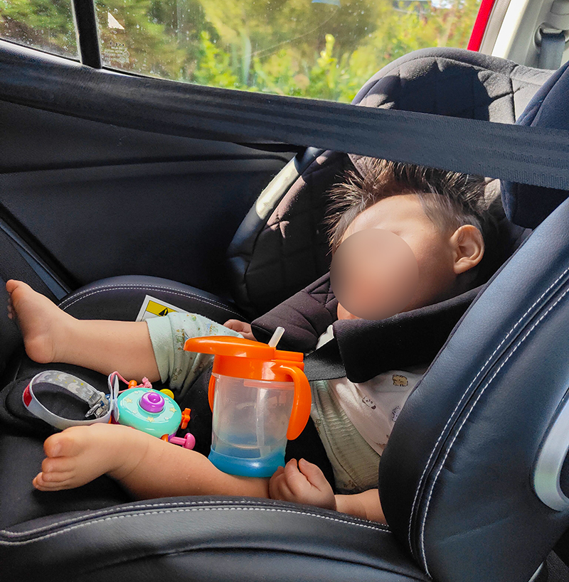 ニュージーランド・フィジー旅行記　赤ちゃん連れ海外旅行　オークランド