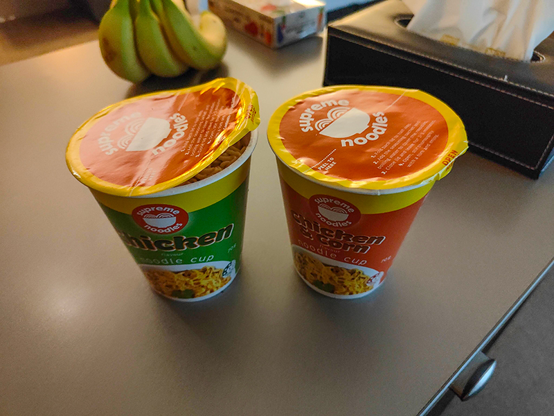 ニュージーランド・フィジー旅行記　赤ちゃん連れ海外旅行　オークランド