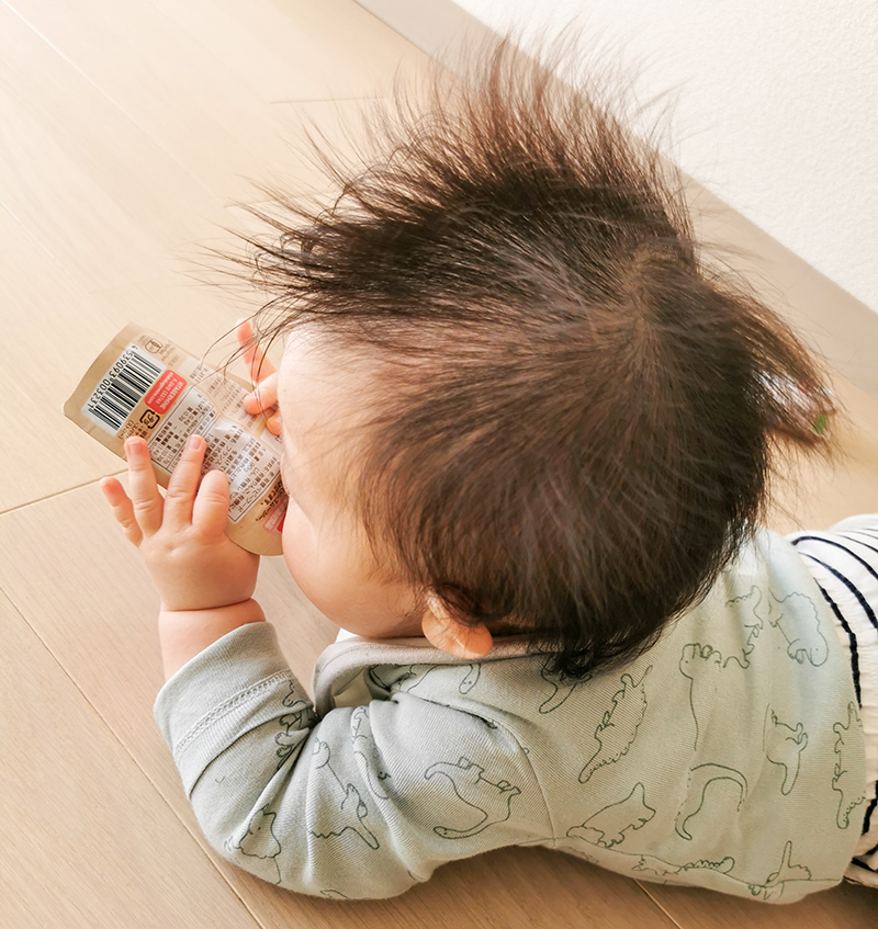 海外旅行　離乳食　後期