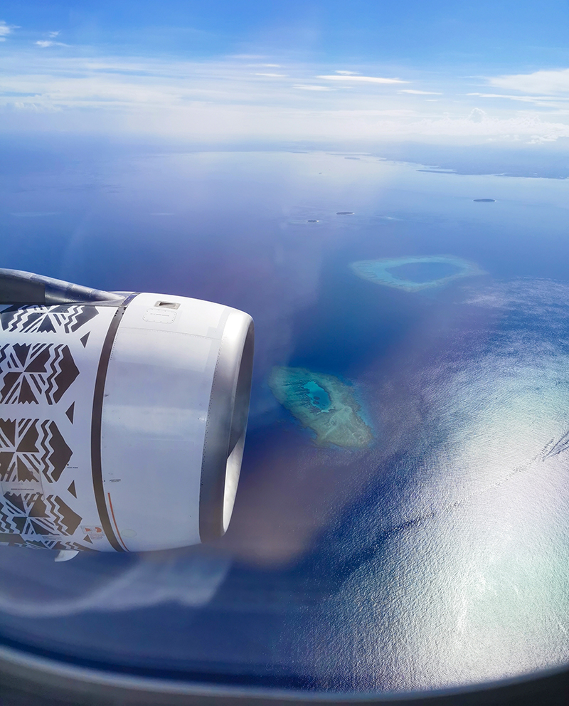 ニュージーランド・フィジー旅行記 赤ちゃん連れ海外旅行