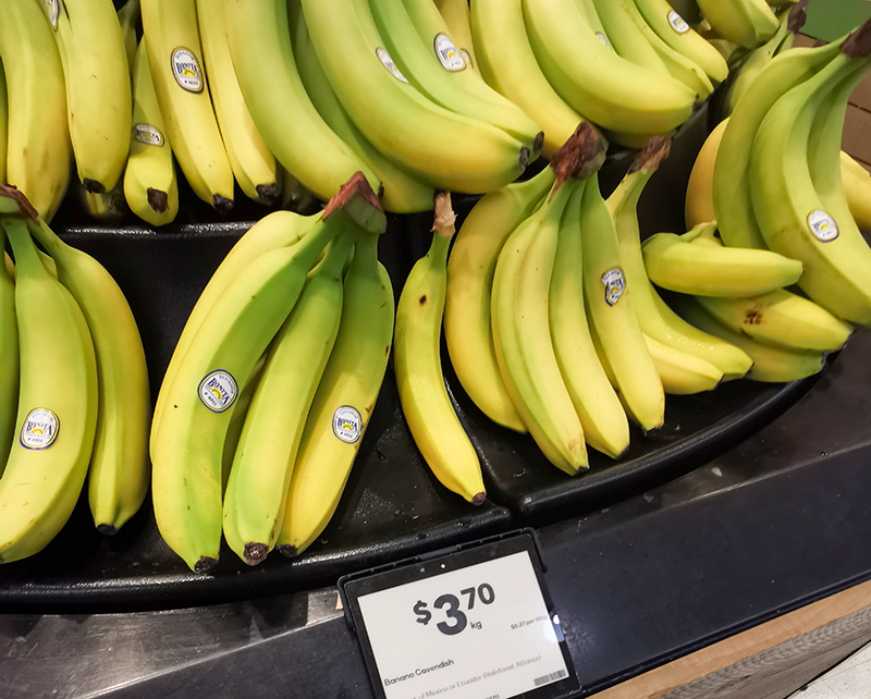 ニュージーランド・フィジー旅行記　赤ちゃん連れ海外旅行　オークランド