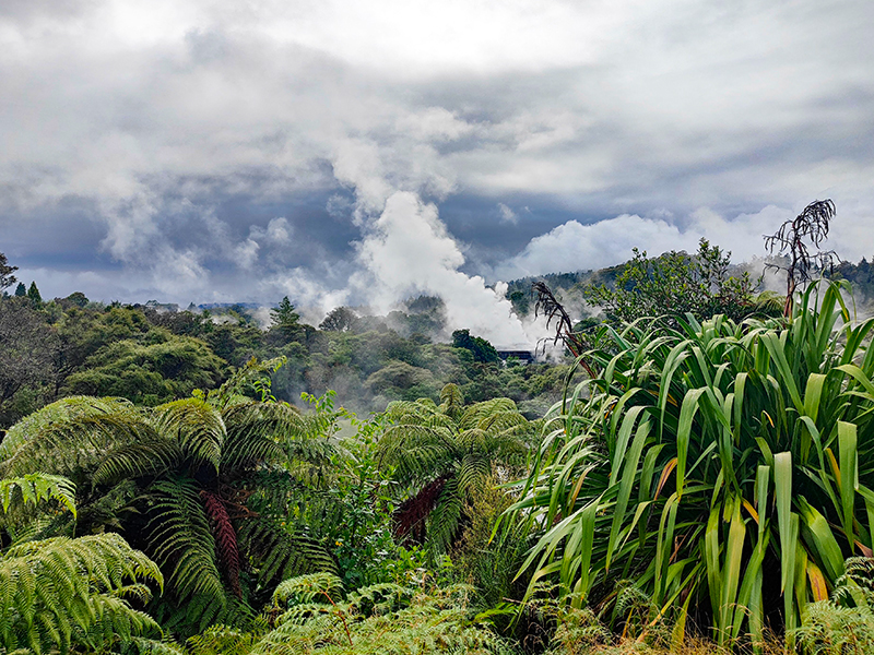 Te Puia テ・プイア