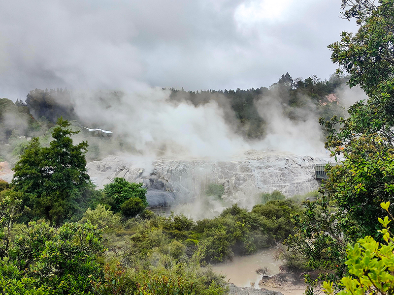 Te Puia テ・プイア