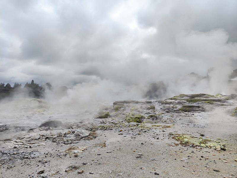 Te Puia テ・プイア