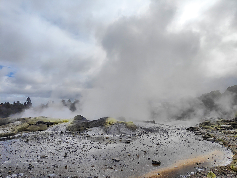 Te Puia テ・プイア