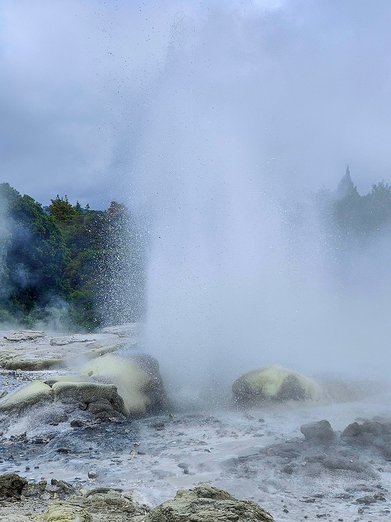 Te Puia テ・プイア