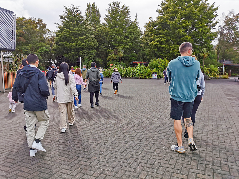 Te Puia テ・プイア