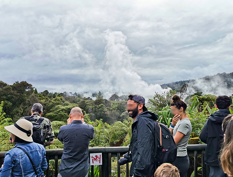Te Puia テ・プイア