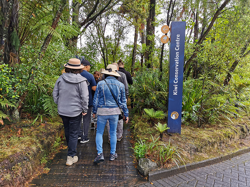 Te Puia テ・プイア