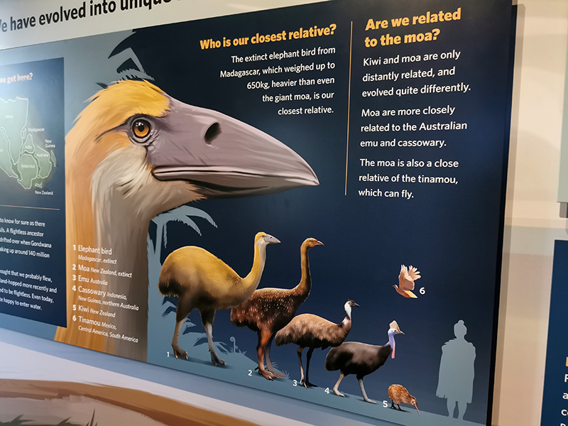 Te Puia テ・プイア