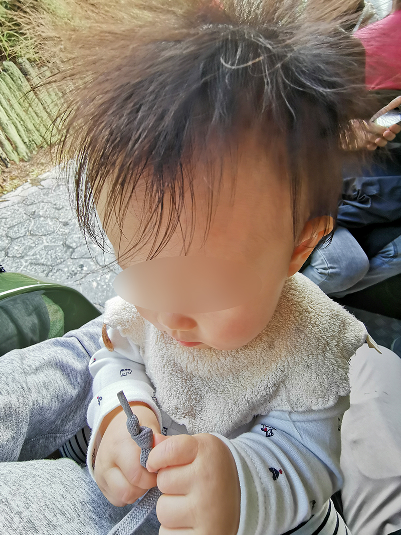 Te Puia テ・プイア