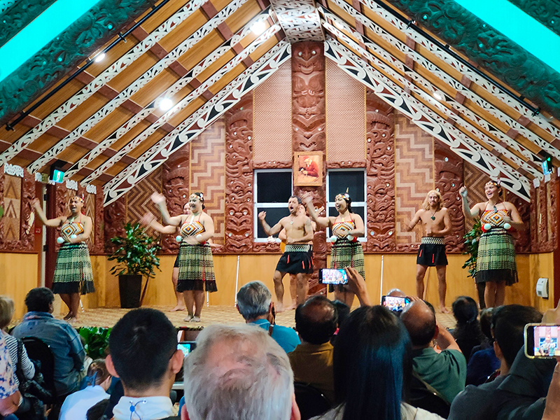 Te Puia テ・プイア