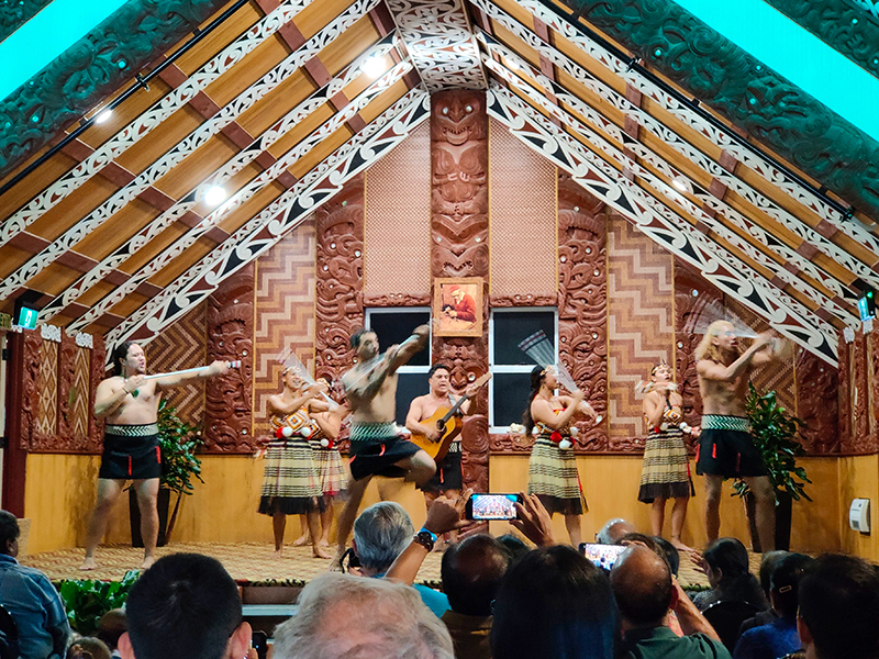 Te Puia テ・プイア