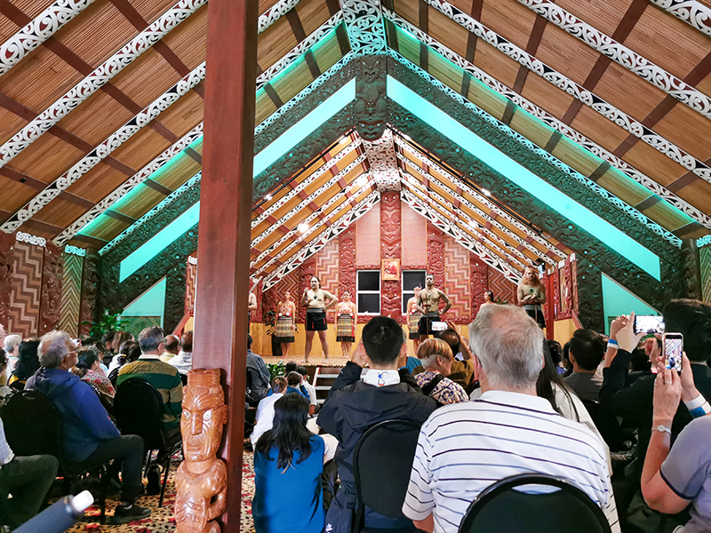 Te Puia テ・プイア