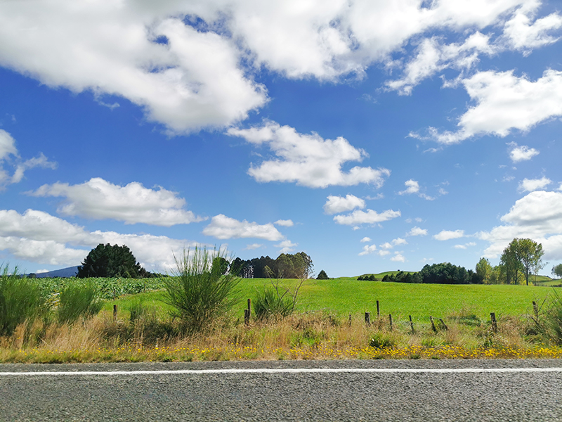Forgotten World Highway(忘れ去られた世界)ニュージーランド