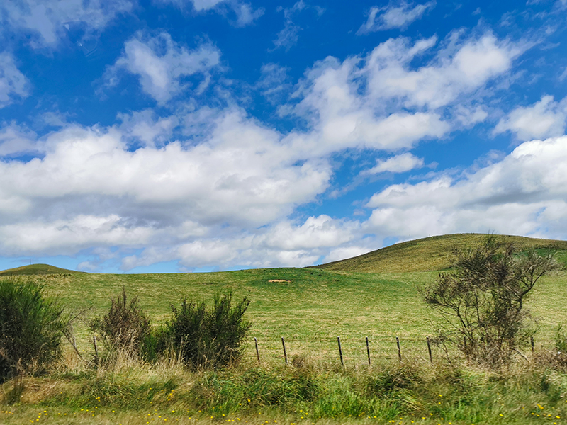 Forgotten World Highway(忘れ去られた世界)ニュージーランド