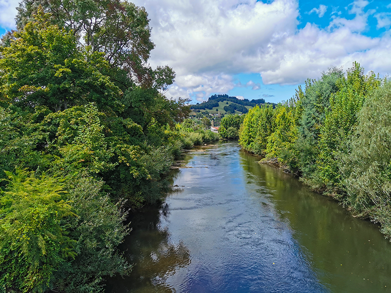 Forgotten World Highway(忘れ去られた世界)ニュージーランド