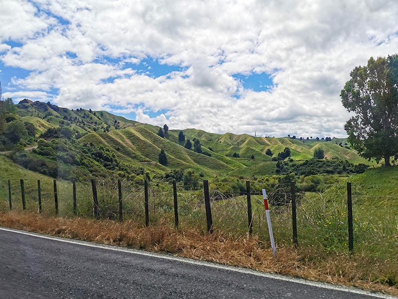 Forgotten World Highway(忘れ去られた世界)ニュージーランド