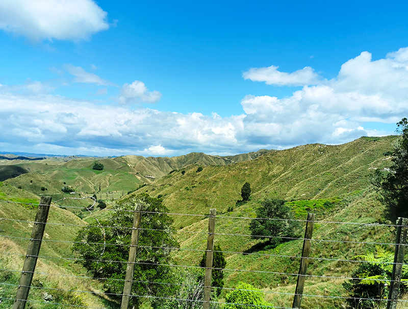 Forgotten World Highway(忘れ去られた世界)ニュージーランド