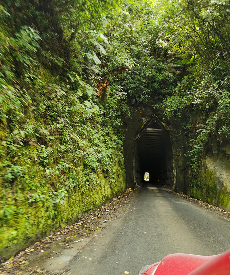 Forgotten World Highway(忘れ去られた世界)Moki Tunnel ニュージーランド