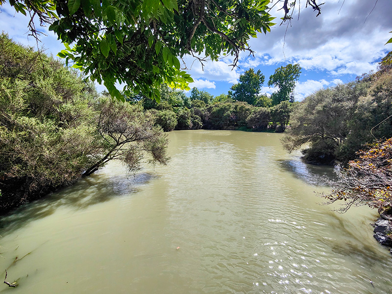 ニュージーランド　ロトルア　クイラウパーク　Kuirau Park rotorua