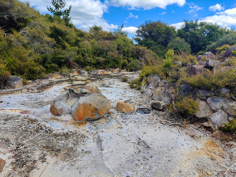 ニュージーランド　ロトルア　クイラウパーク　Kuirau Park rotorua