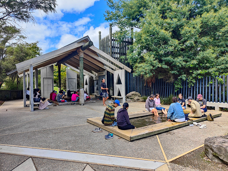 ニュージーランド　ロトルア　クイラウパーク　Kuirau Park rotorua