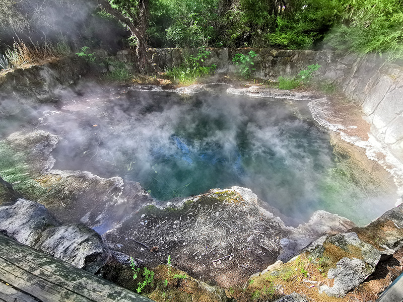 ニュージーランド　ロトルア　クイラウパーク　Kuirau Park rotorua