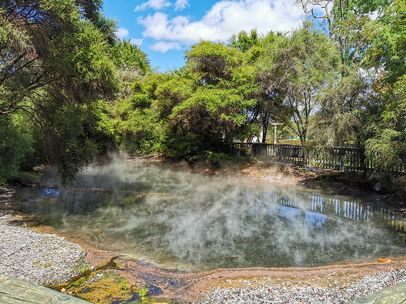 ニュージーランド　ロトルア　クイラウパーク　Kuirau Park rotorua