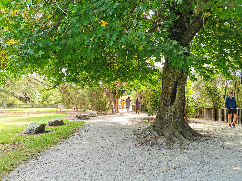 ニュージーランド　ロトルア　クイラウパーク　Kuirau Park rotorua