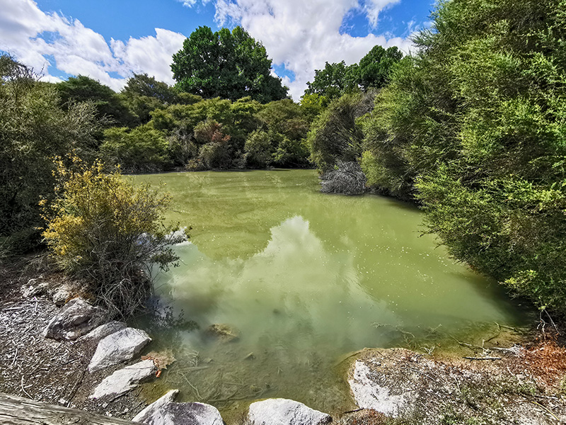 ニュージーランド　ロトルア　クイラウパーク　Kuirau Park rotorua