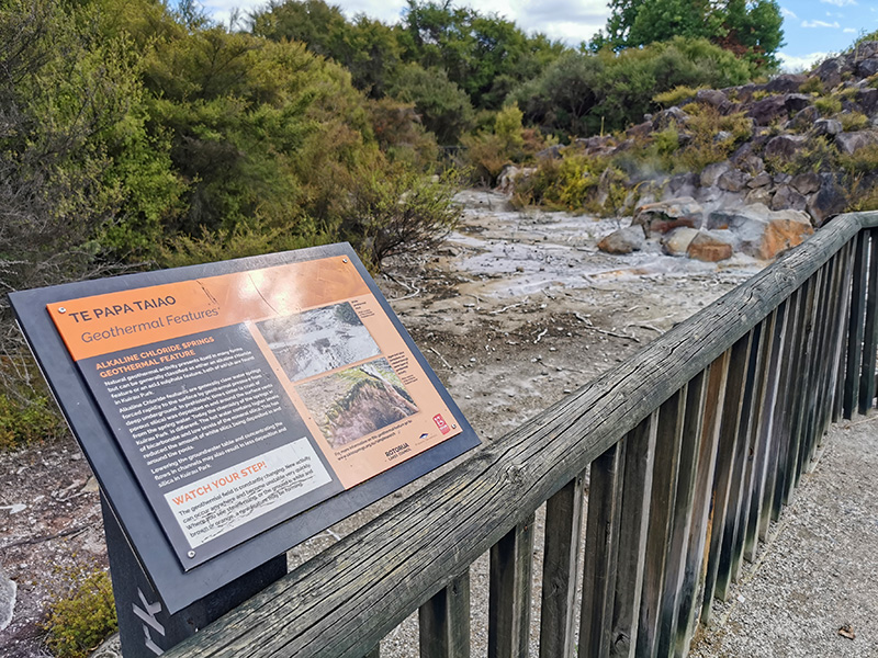 ニュージーランド　ロトルア　クイラウパーク　Kuirau Park rotorua
