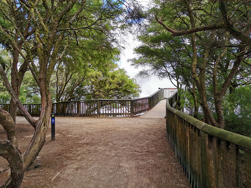 ニュージーランド　ロトルア　クイラウパーク　Kuirau Park rotorua