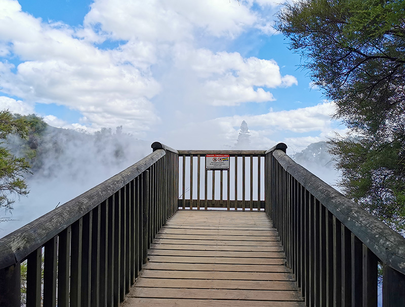 ニュージーランド　ロトルア　クイラウパーク　Kuirau Park rotorua