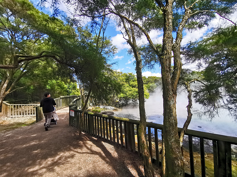ニュージーランド　ロトルア　クイラウパーク　Kuirau Park rotorua