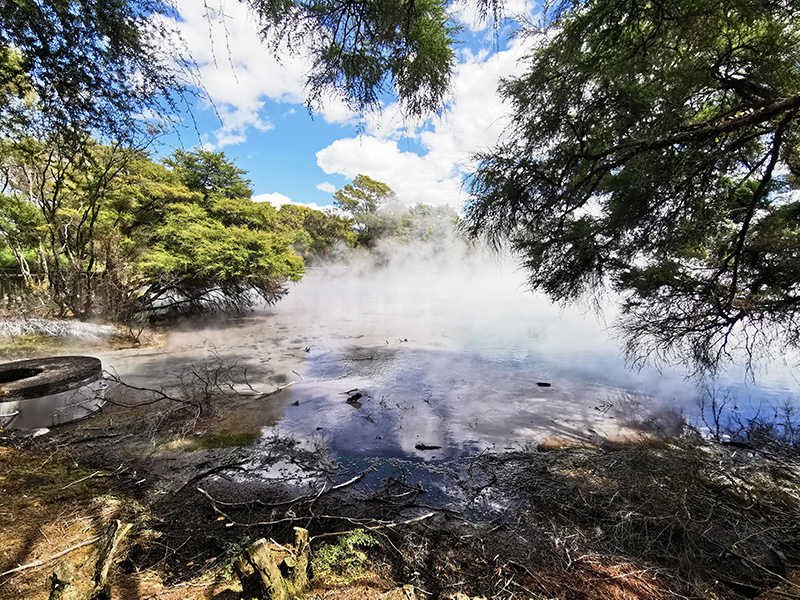 ニュージーランド　ロトルア　クイラウパーク　Kuirau Park rotorua