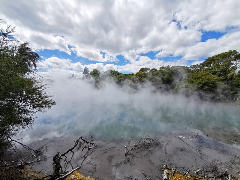 ニュージーランド　ロトルア　クイラウパーク　Kuirau Park rotorua
