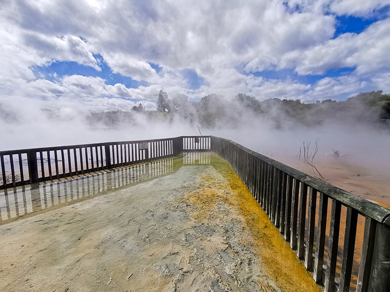 ニュージーランド　ロトルア　クイラウパーク　Kuirau Park rotorua
