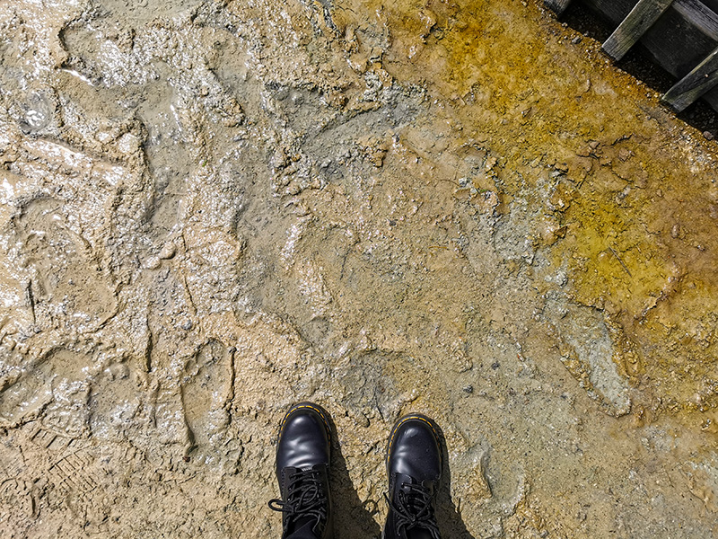 ニュージーランド　ロトルア　クイラウパーク　Kuirau Park rotorua