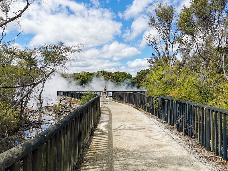 ニュージーランド　ロトルア　クイラウパーク　Kuirau Park rotorua