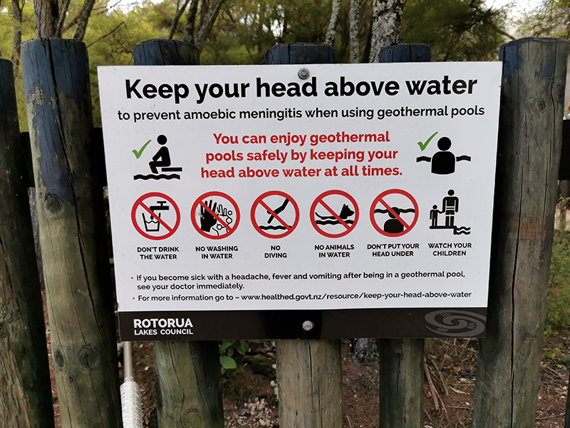 ニュージーランド　ロトルア　クイラウパーク　Kuirau Park rotorua